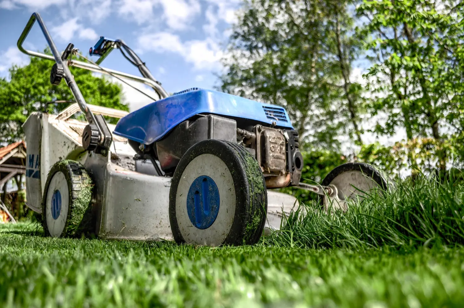 Hecke und Rasen Umzüge & Hausmeisterservice